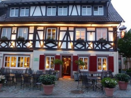 Foto:  Storchen